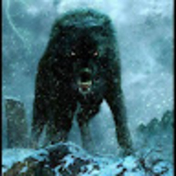 Meet your Posher, Night - Picture 1 of 1